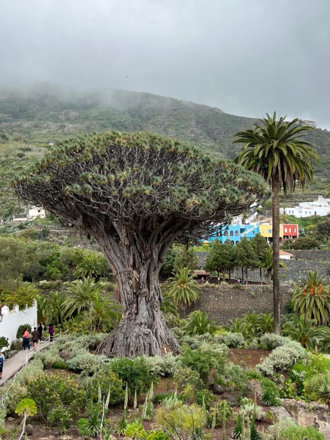 شقة My Ocean - Cliff & Ocean View Acantilado de los Gigantes المظهر الخارجي الصورة